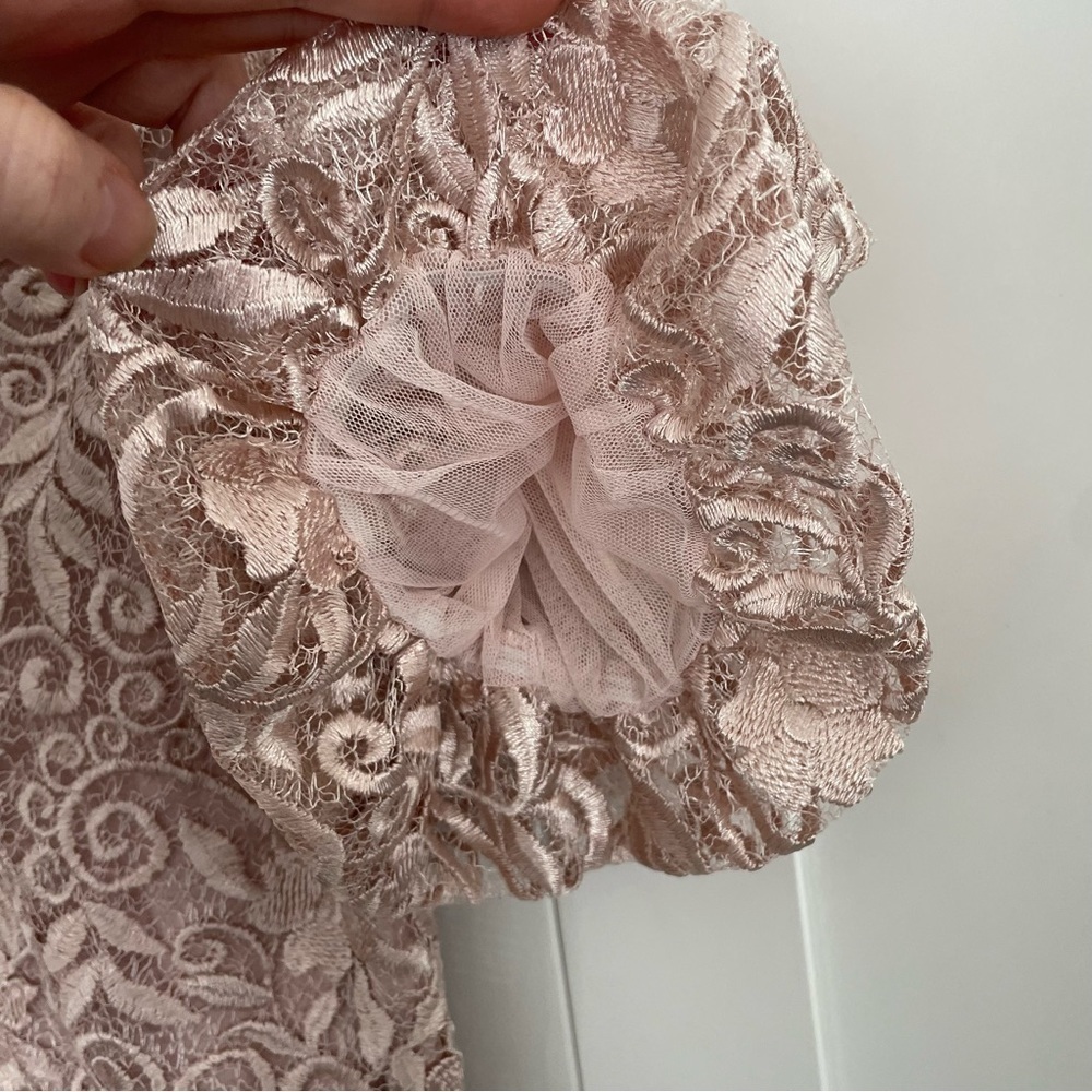 JS COLLECTIONS RIVER PUFF SLEEVE COLUMN GOWN NEW Size 4 Blush - Picture 12 of 15